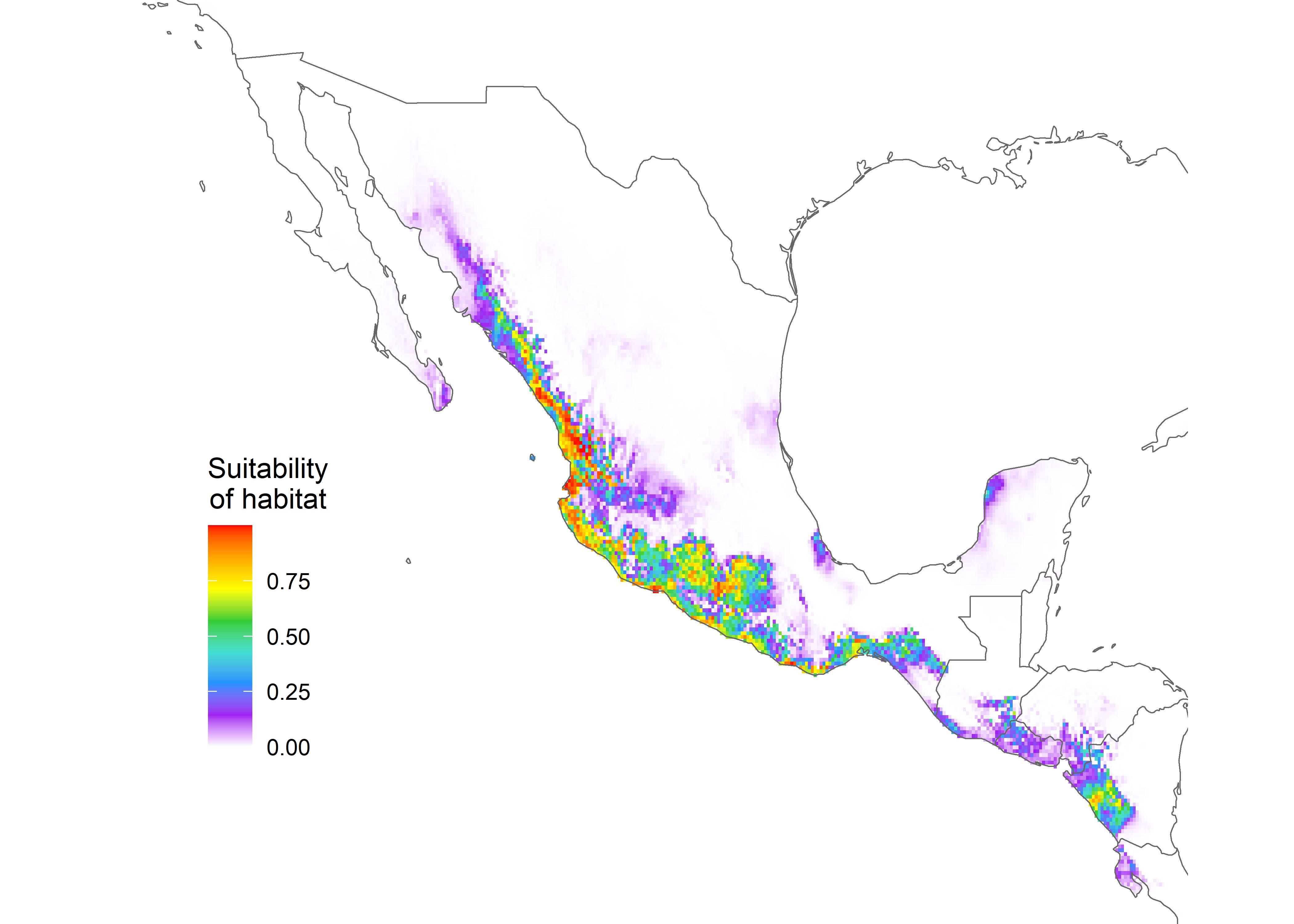 Figure 5. Conservative future species distribution of M. chrysogenys in Mexico using an RCP of 2.6. Warmer colors indicate areas with better predicted conditions for M. chrysogenys.