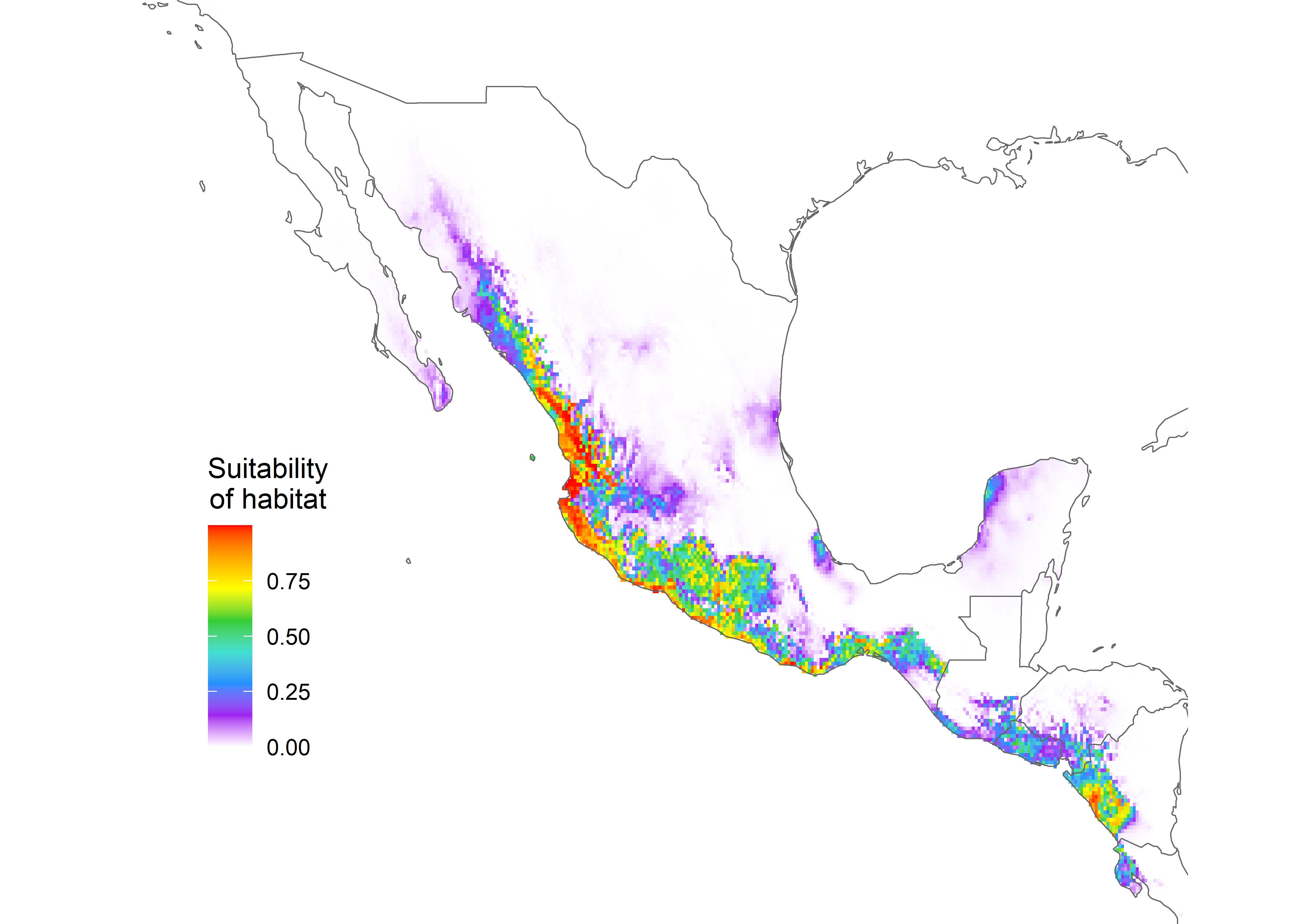 Figure 6. Liberal future species distribution of M. chrysogenys in Mexico using an RCP of 8.5. Warmer colors indicate areas with better predicted conditions for M. chrysogenys.