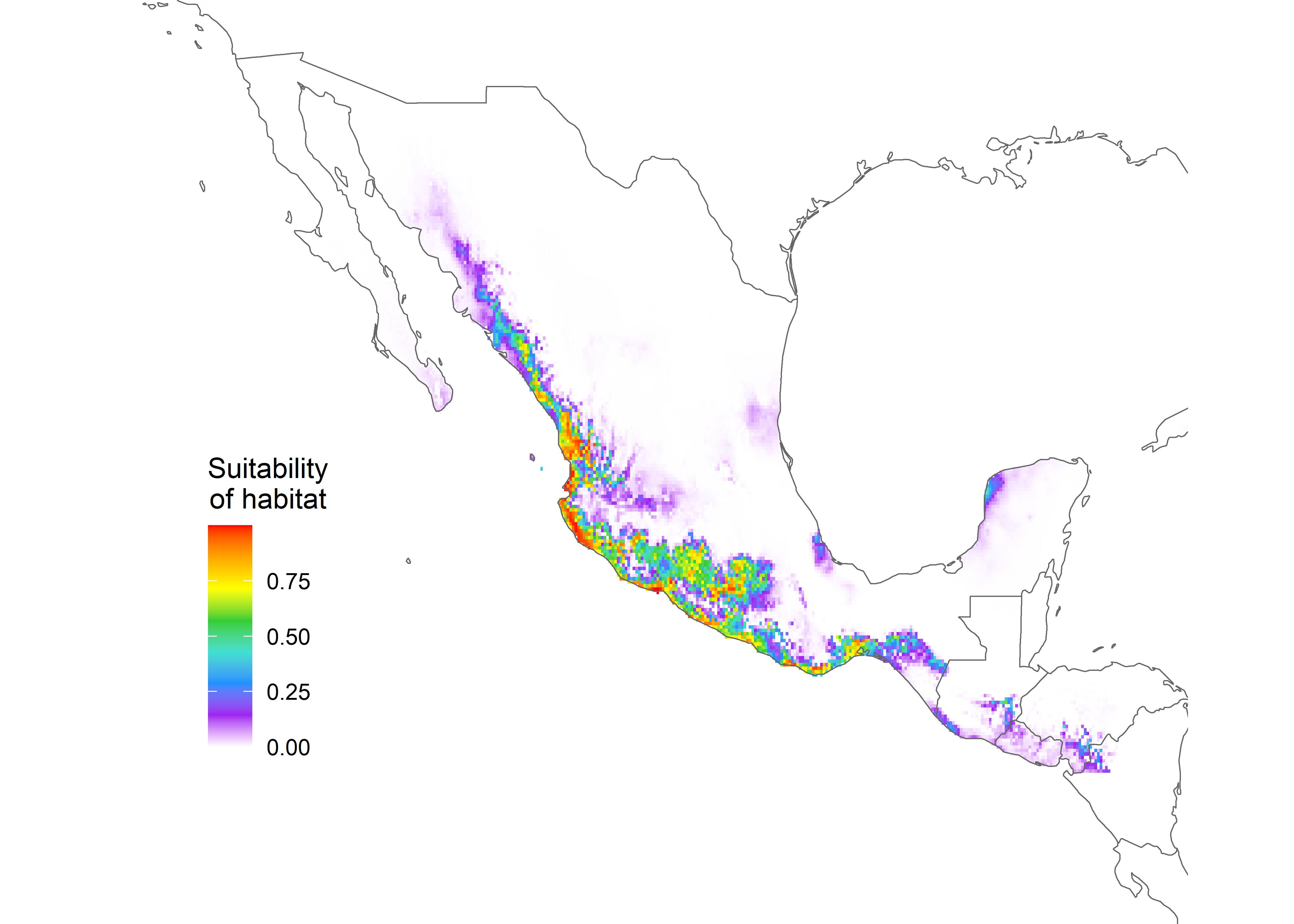 Figure 4. Predicted niches of M. chrysogenys in Mexico. Warmer colors indicate areas with better predicted conditions for M. chrysogenys. Black circles indicate observation locations.